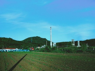 187287