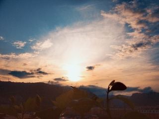 295851
