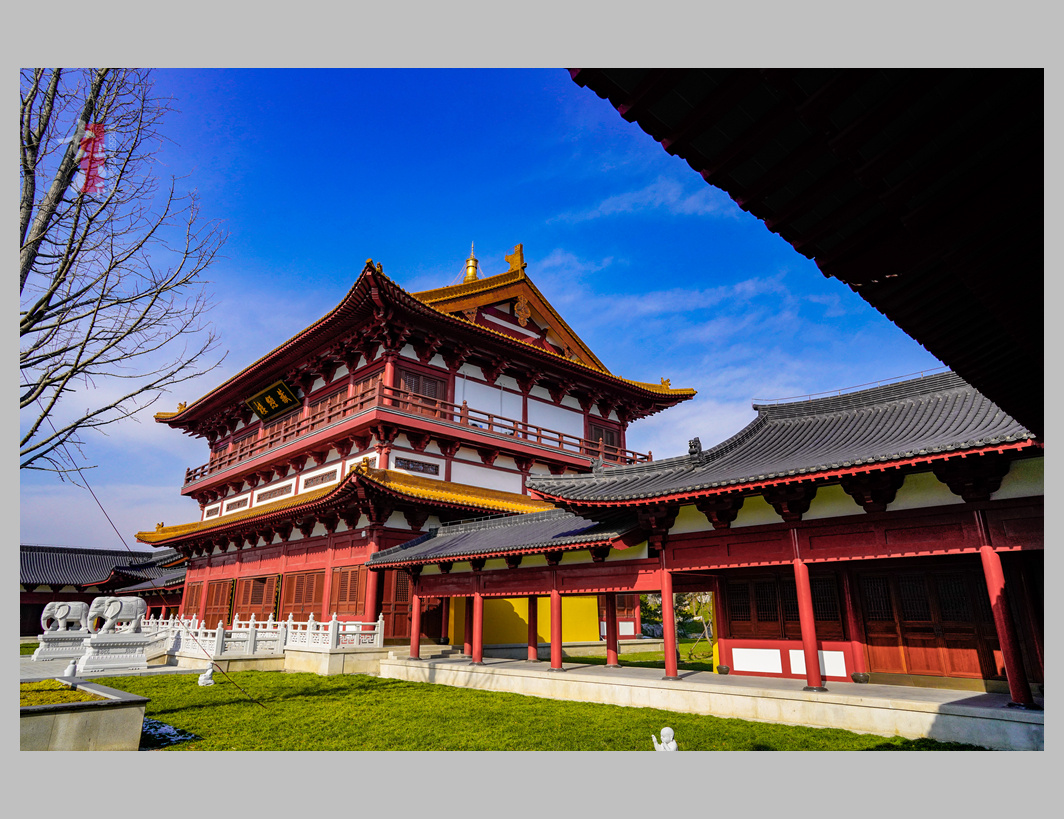 疏钟过远陂清音正古朴泰州市高港区寿胜寺始建于南宋1945年因抗日战火