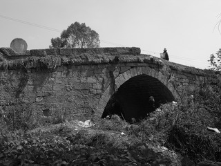 186313