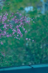 E7A3A0FA-2F26-4AF4-B761-6DE1C7F732A6/L0/001
