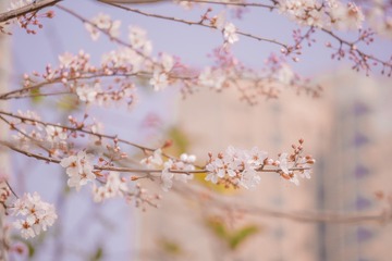 12F3AE69-44EF-41A7-85D9-B770AEE89ED3/L0/001