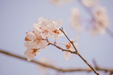 1C8F6F82-89EA-458B-AF46-374D0D8FBE2A/L0/001