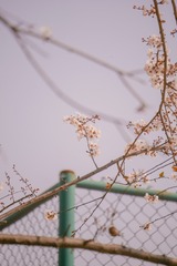 43F17631-700D-45CE-80F7-06089CC2DD9B/L0/001