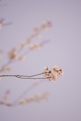 E8739E30-E720-4A9E-9B91-489514EB8184/L0/001