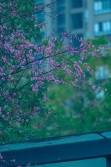 FAFF43D8-7588-45A2-83FA-88FC7F27AD50/L0/001
