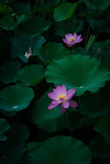 001