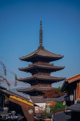 733828