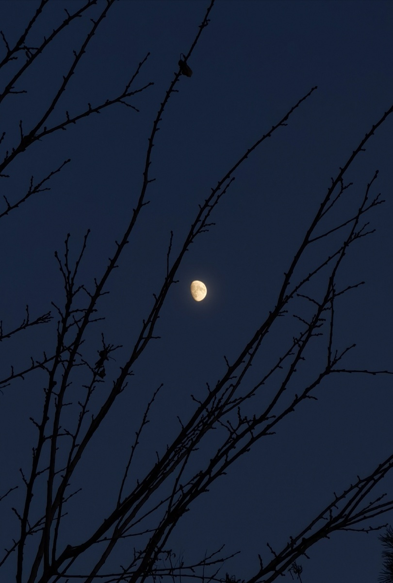 月缺月圆都是一个人的月