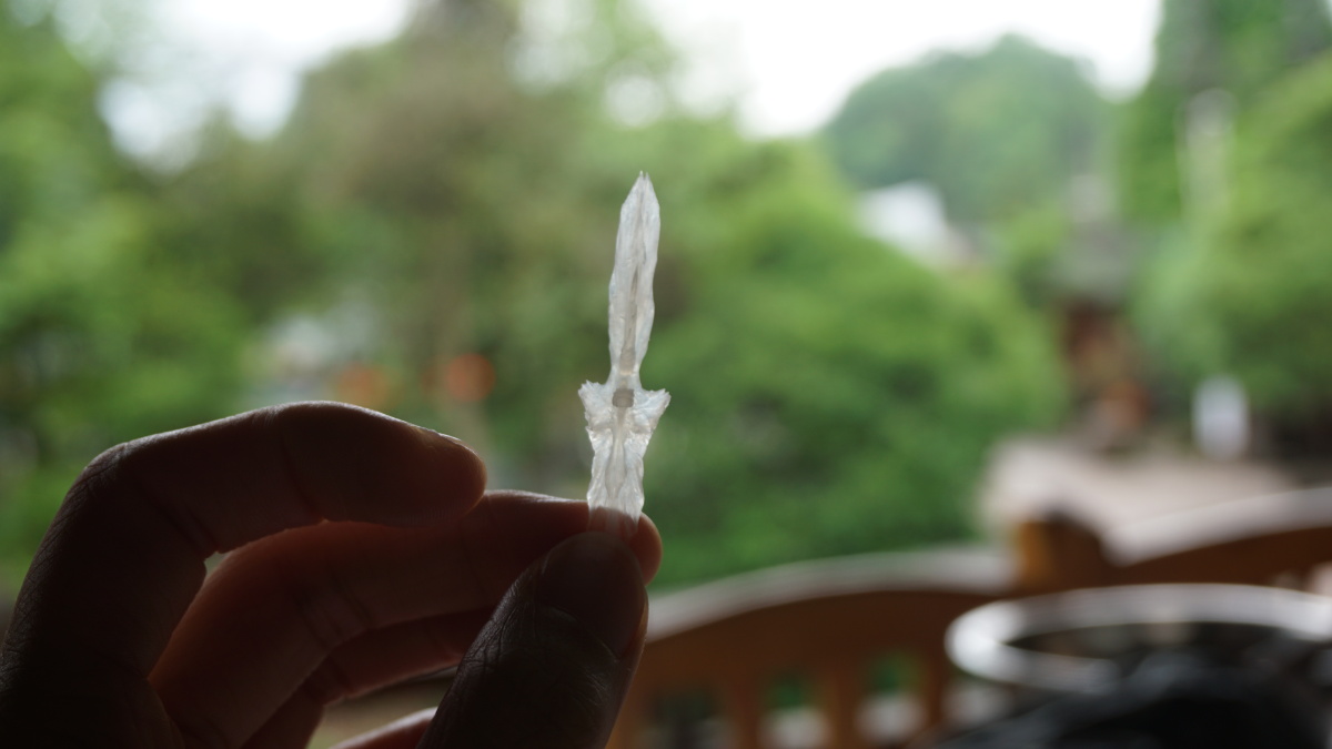 相传雅鱼乃女娲补天时从其身上遗落的宝剑入水所化所以雅鱼天堂骨形似