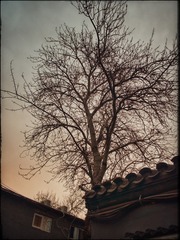 109C5B5E-D0A6-4859-AD26-B0C0ABCFF8B5/L0/001