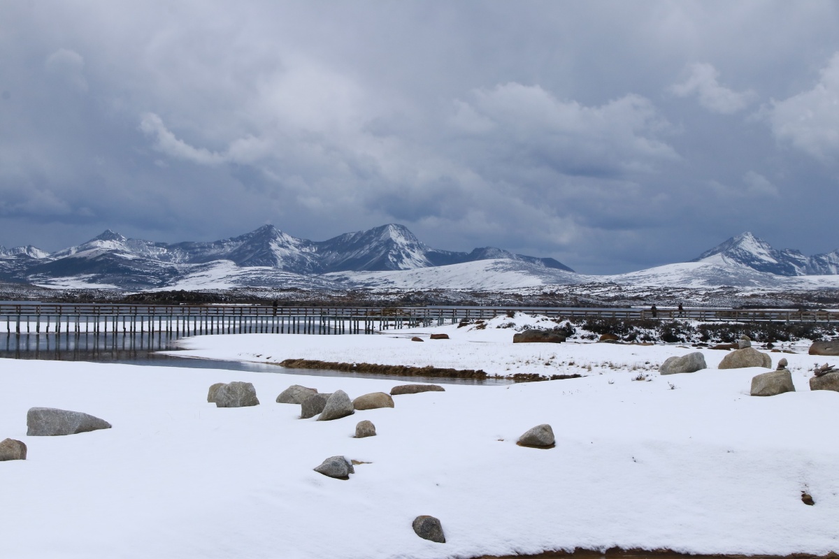 石头哥18284543539