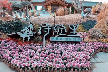 D10AB1A4-CDAE-4381-BC73-B74272C82B8A/L0/001