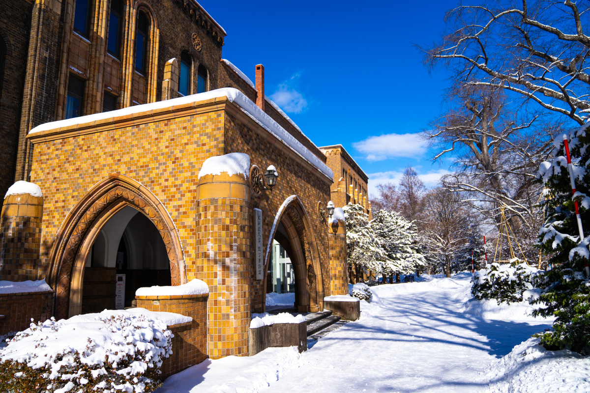 冬天北海道大学校园风光