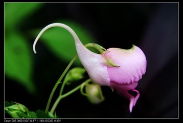 1029188