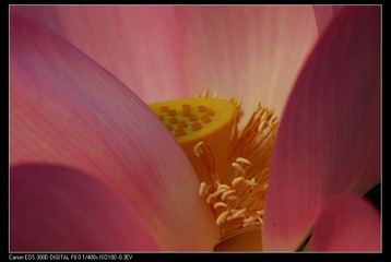 1016027