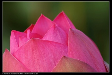 1016026