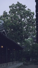 48D2F5E5-D340-4649-8EC5-C4B0913EE0D5/L0/001