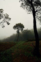 125DDC33-96D6-47B6-93A4-EC5DEC9F4880/L0/001
