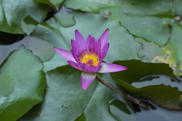 001