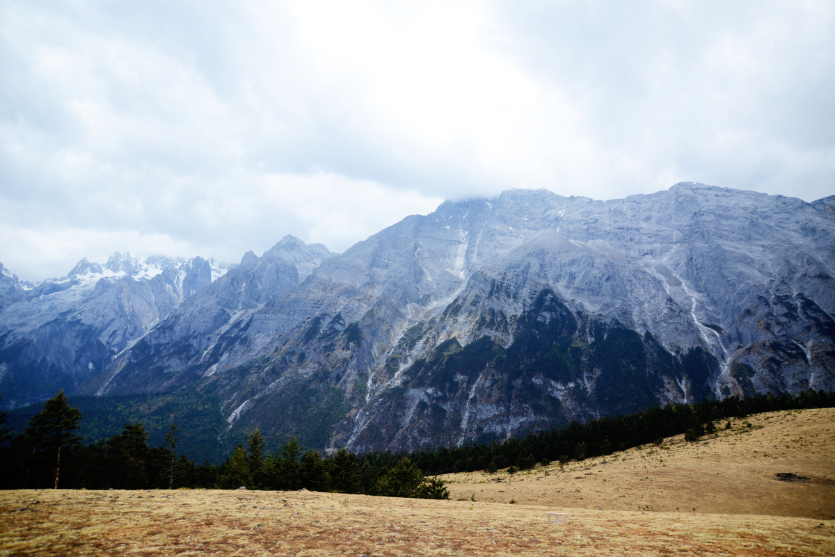 玉龙雪山牦牛坪