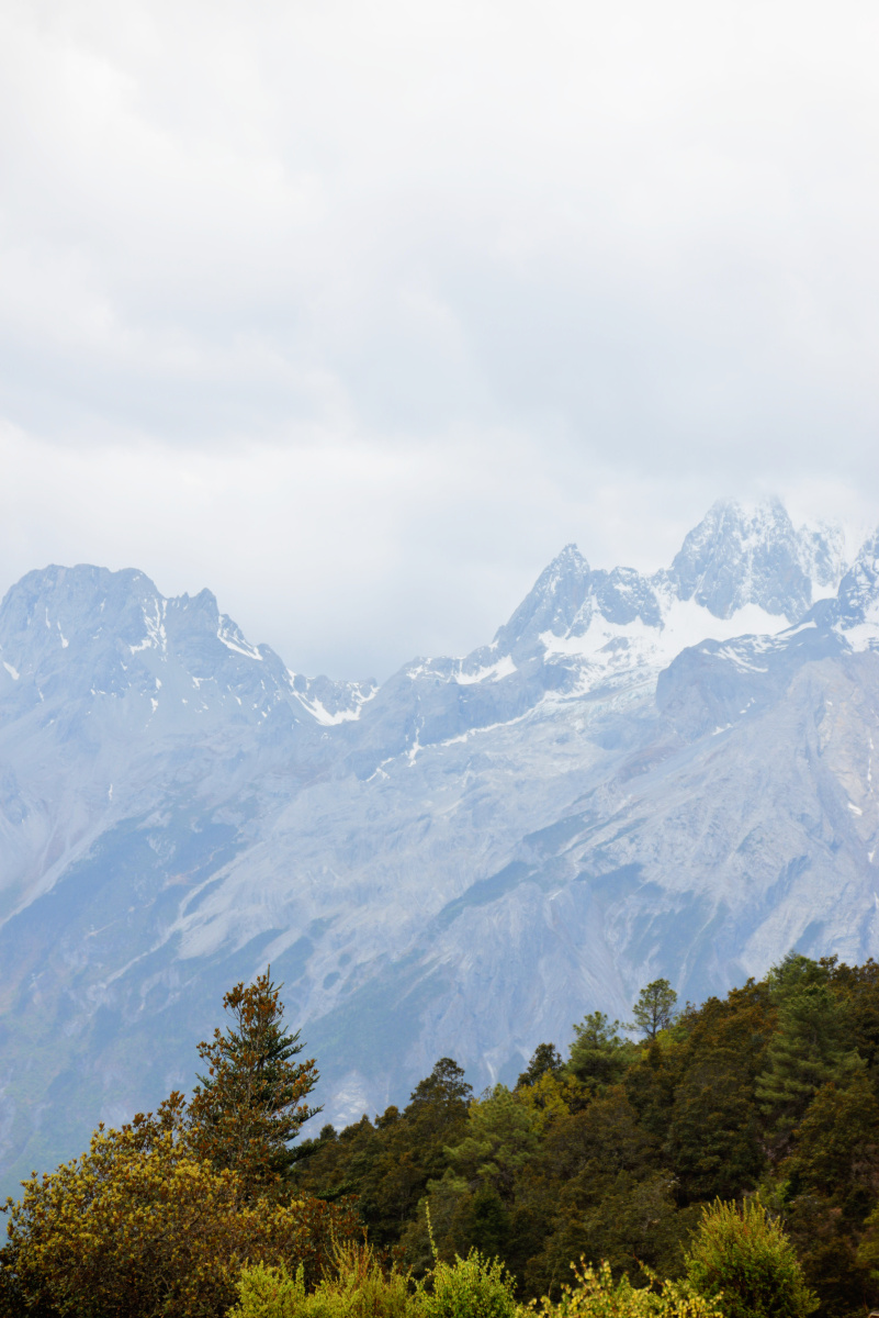 玉龙雪山牦牛坪