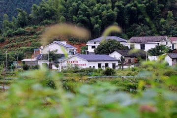 3056417