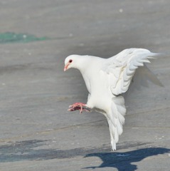 797346
