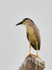 600717