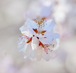 1315