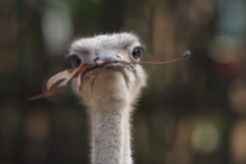 93344