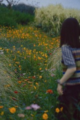 F01FF10C-07D2-4779-8FB3-3B0E35CCF757/L0/001