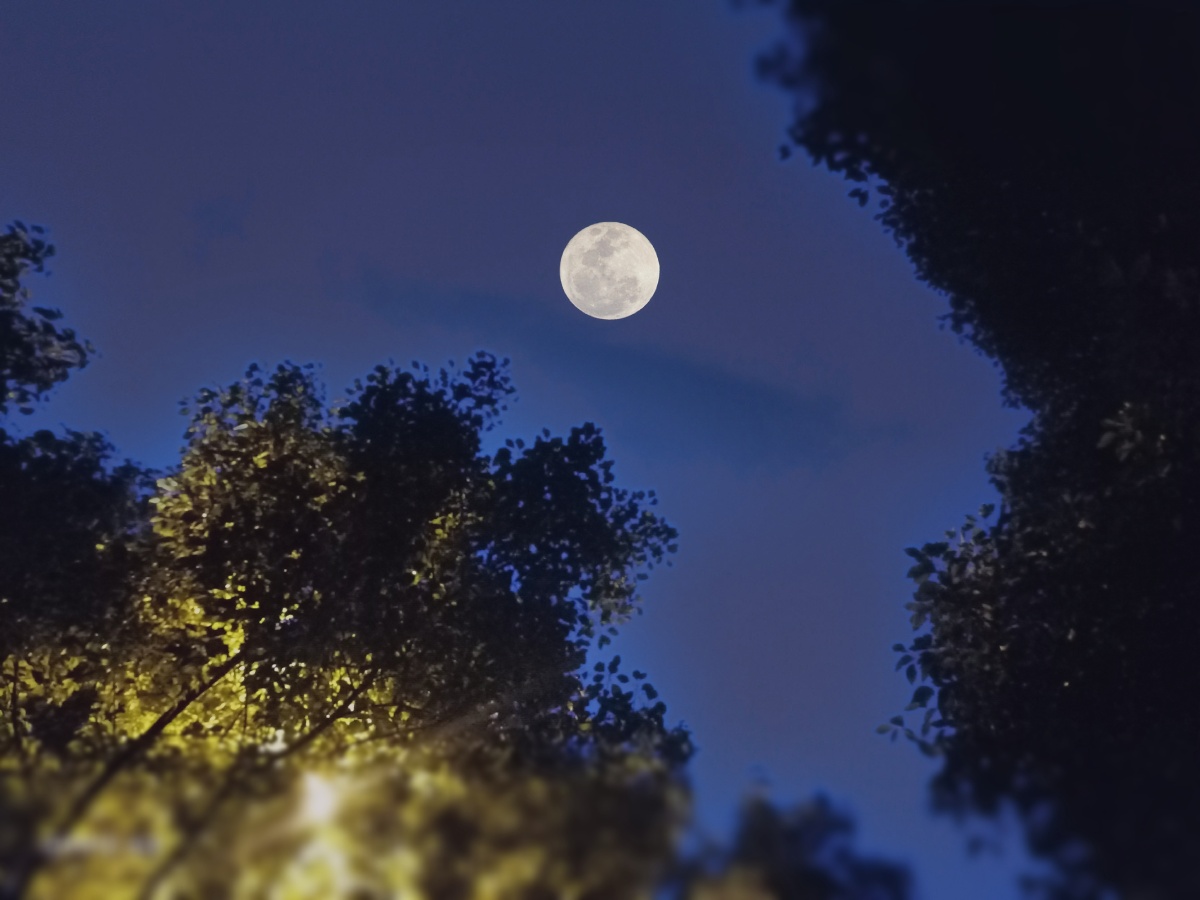 十五的月亮十六圆今天的月亮圆不圆啊小伙伴们