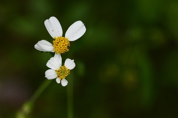 _DSC1344a