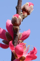 _DSC0651b