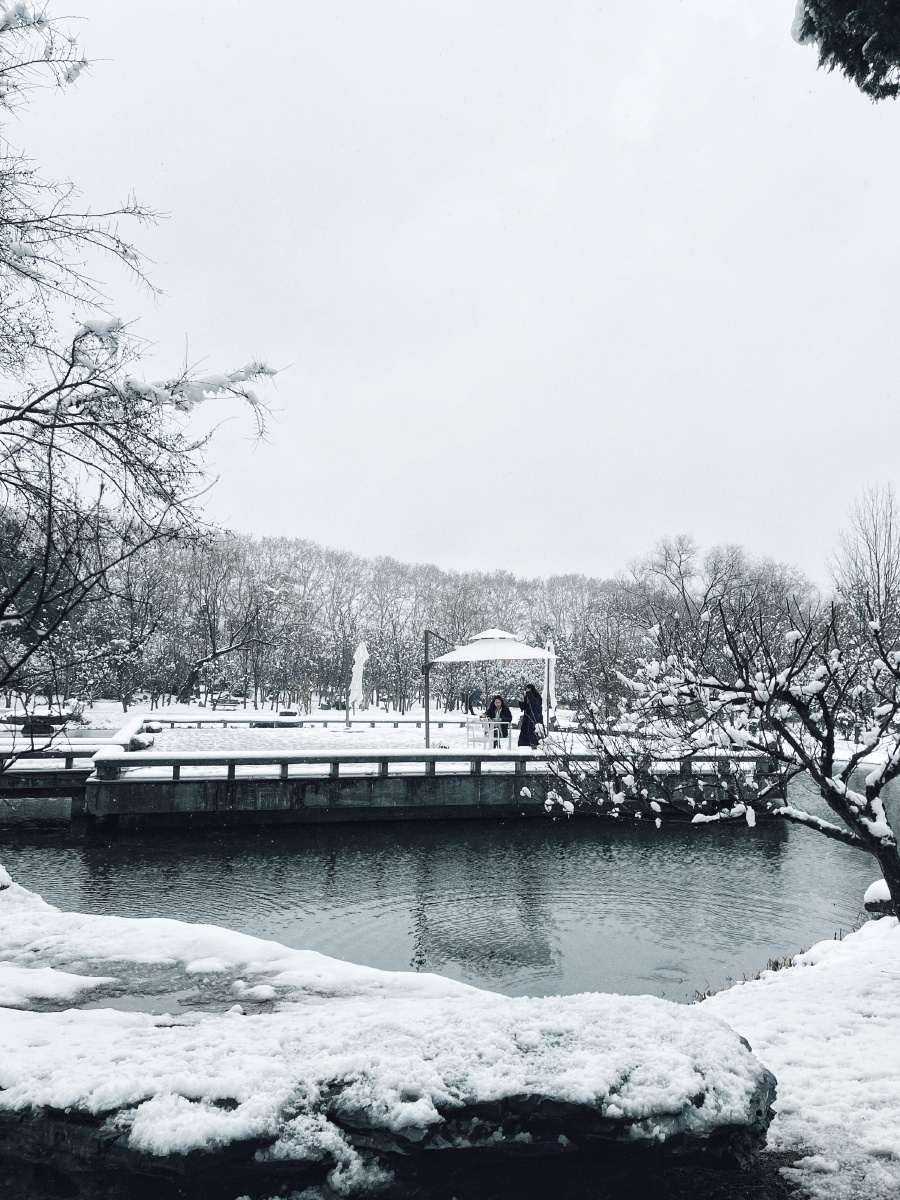 南京梅花山雪景