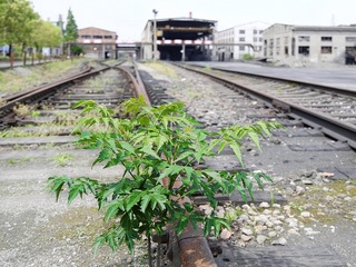 680986