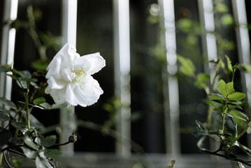 93C7B76D-4353-4CB4-8AD8-5703E98D38C4/L0/001