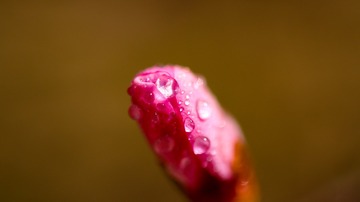 85881