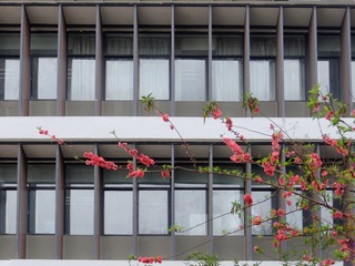 2016_0305_12170100-01