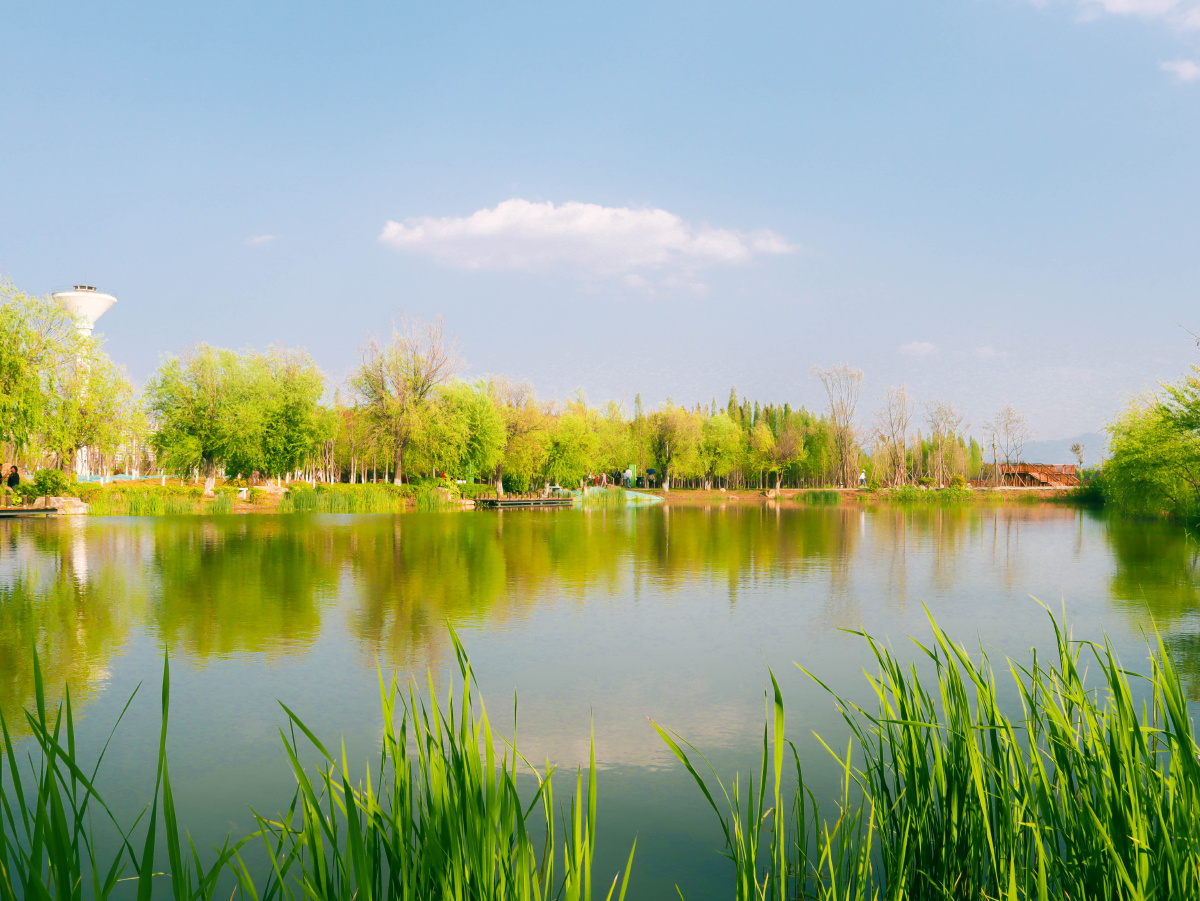 昆明王官湿地公园风景怡人景色秀丽周末出游好地方