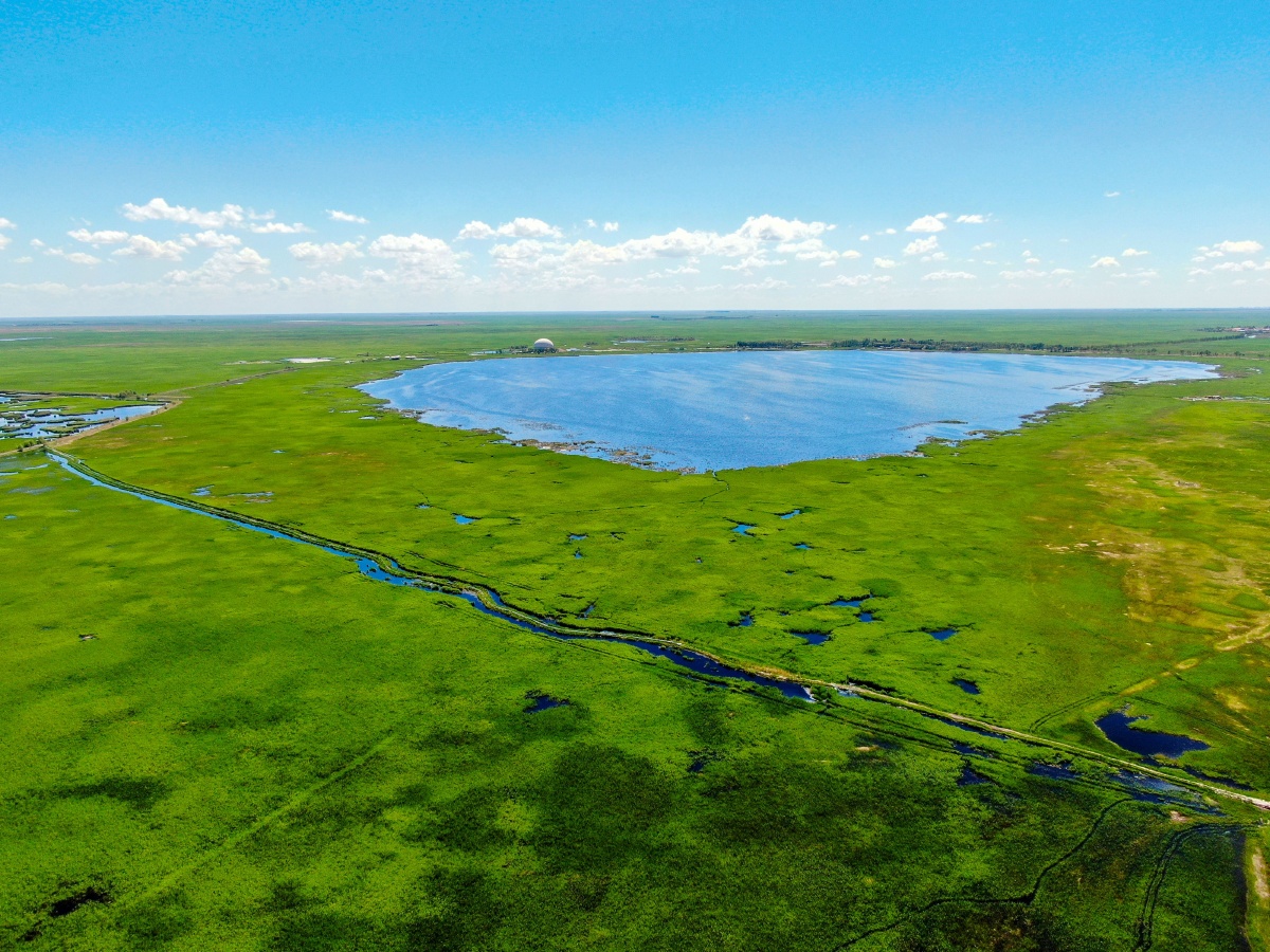 航拍齐齐哈尔扎龙国际大湿地