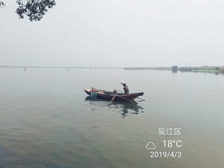 126317