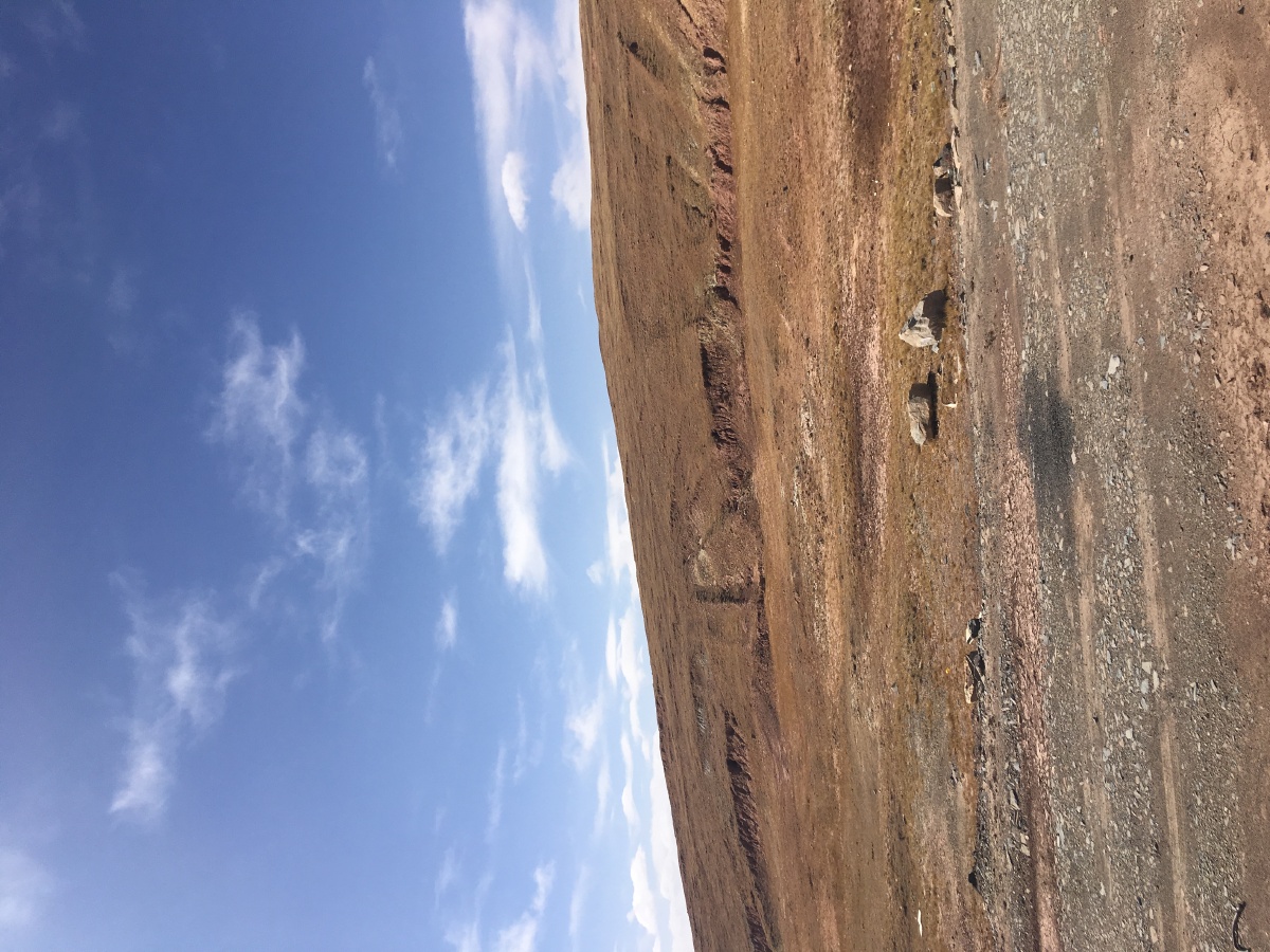 橘子你个orange艳