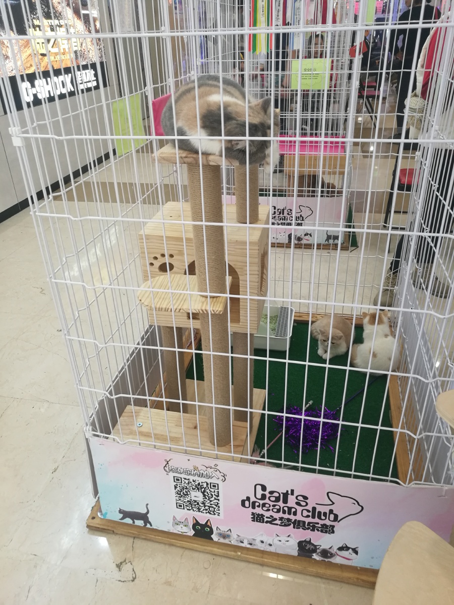 宠物批发市场地址