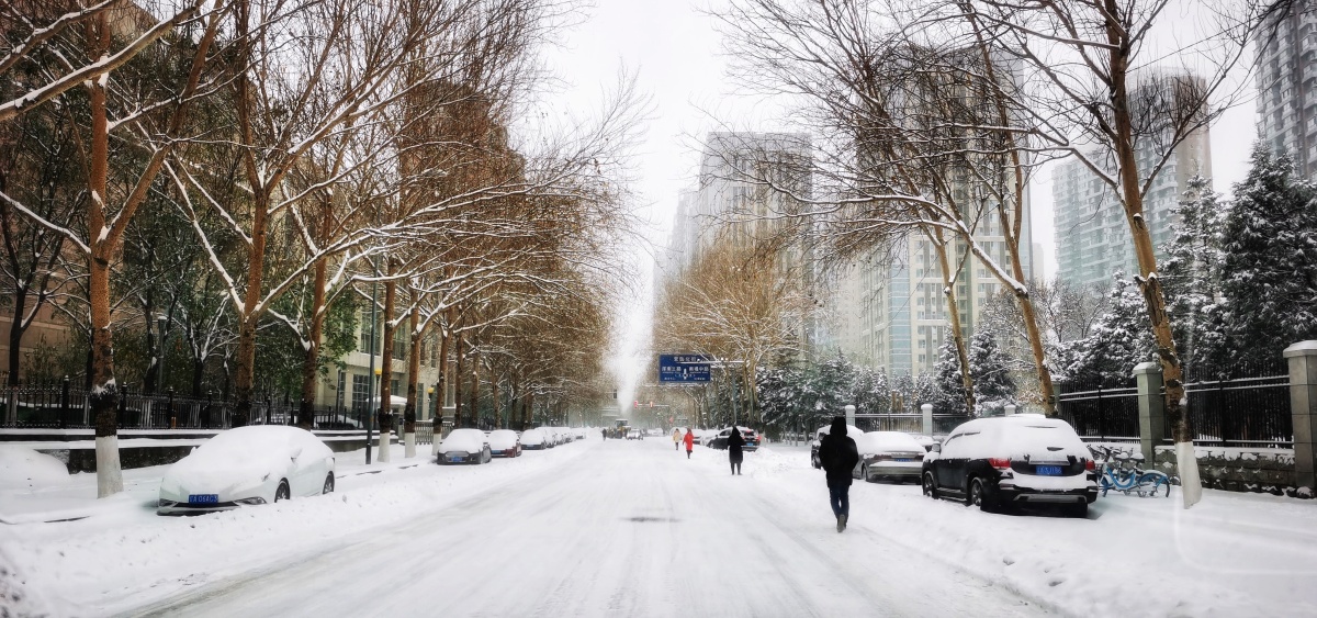 2021东北沈阳的城市雪景