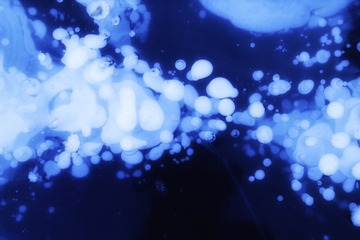 8474A1CA-29B0-41FB-919D-5FFE8E55C7BD/L0/001
