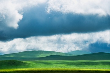 1000086430