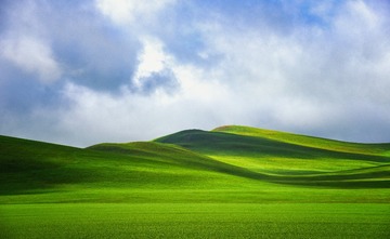 1000086429