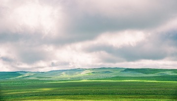1000086431